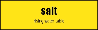 salt
rising water table