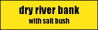 dry river bank
with salt bush