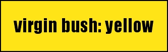 virgin bush: yellow