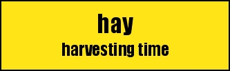 hay
harvesting time