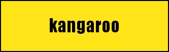 kangaroo