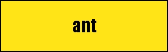 ant