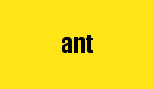 ant