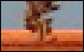 Iblok.jpg