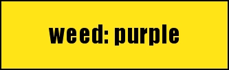 weed: purple 
