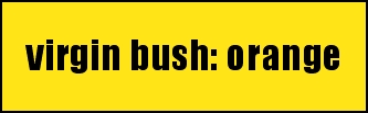 virgin bush: orange